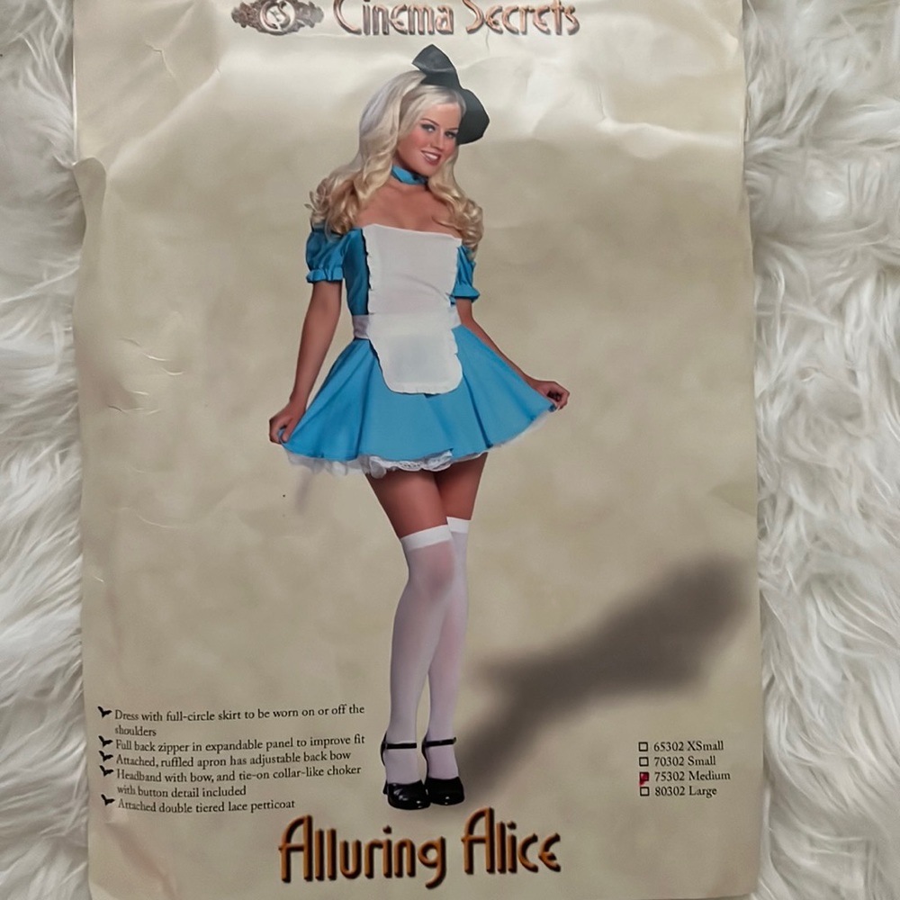 Alice in Wonderland Costume